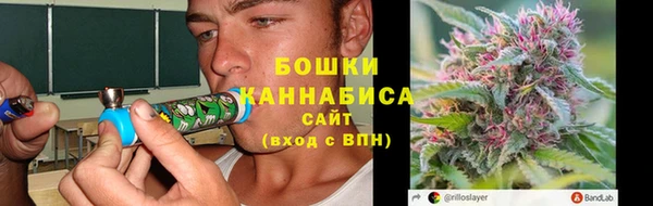 PSILOCYBIN Ладушкин