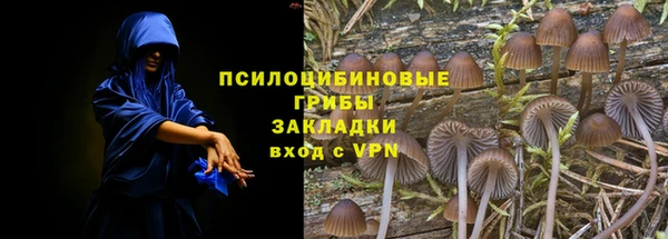 тгк Липки