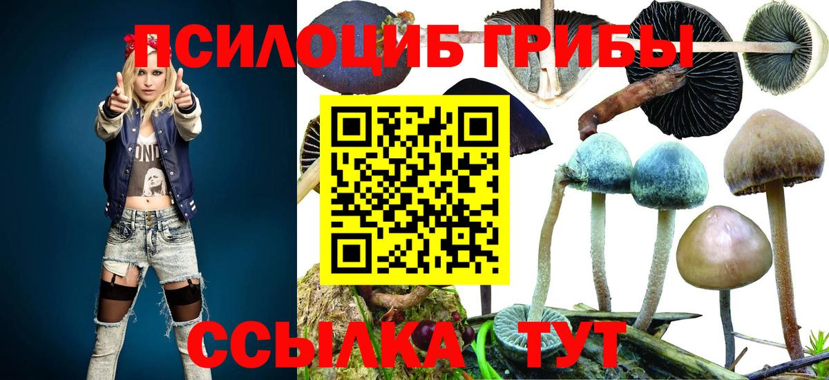 Псилоцибиновые грибы мицелий  Вход с VPN  Галлюциногенные грибы ЛСД  Курганинск 